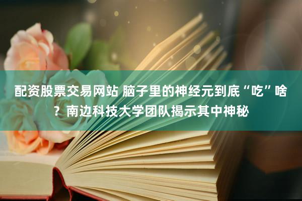 配资股票交易网站 脑子里的神经元到底“吃”啥？南边科技大学团队揭示其中神秘