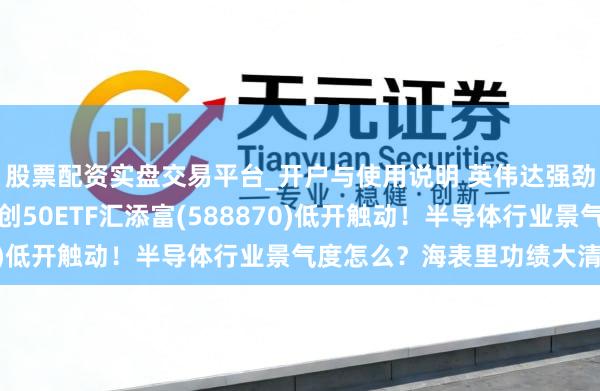 股票配资实盘交易平台_开户与使用说明 英伟达强劲财报渊博AI担忧？科创50ETF汇添富(588870)低开触动！半导体行业景气度怎么？海表里功绩大清点！